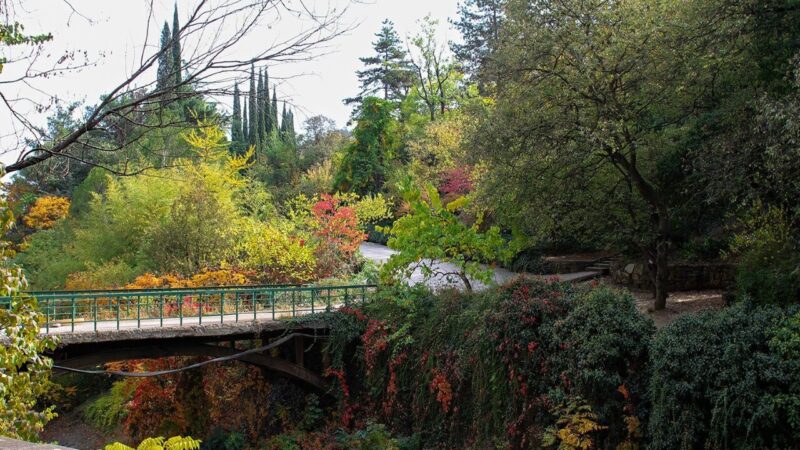 Тбилисский ботанический сад — оазис зелени и истории