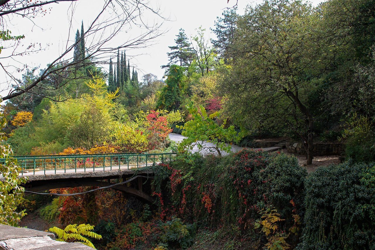 Тбилисский ботанический сад — оазис зелени и истории